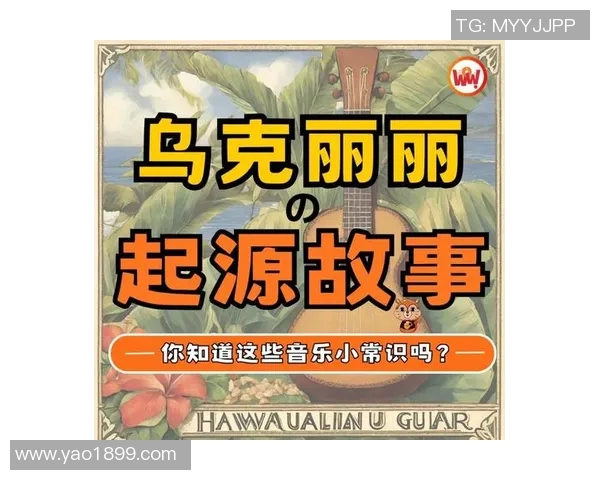 北非足球明星的璀璨星空与他们的传奇故事揭秘